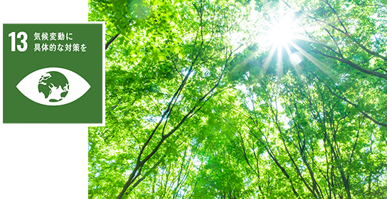 気候変動に具体的な対策を